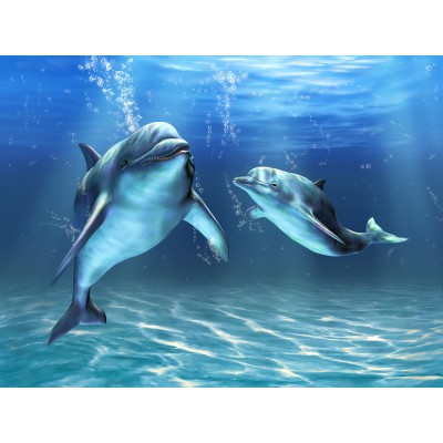 Ρόλερ Μερικής Συσκότισης AN9919 Δελφίνια