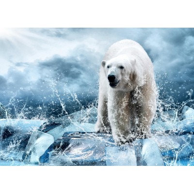 Ρόλερ Μερικής Συσκότισης AN9916 Πολική Αρκούδα