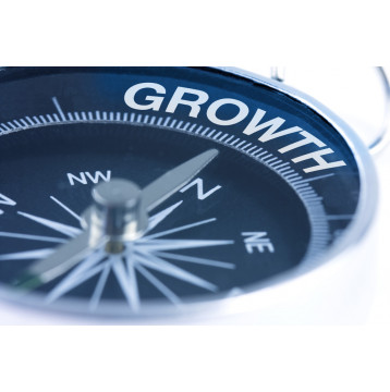 Ρόλερ Μερικής Συσκότισης BU0066 Business Growth
