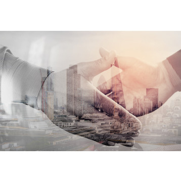 Ρόλερ Μερικής Συσκότισης BU0022 Business