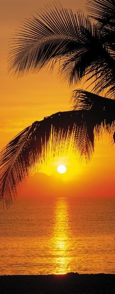 Φωτοταπετσαρία τοίχου Komar 2-1255 "Palmy Beach Sunrise" 92x220cm
