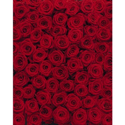 Φωτοταπετσαρία τοίχου Φλοράλ Komar 4-077 "Roses" 194x270cm