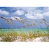 Φωτοταπετσαρία τοίχου National Geographic Komar 8-515  "Ocean Breeze "  368x254cm