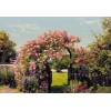 Φωτοταπετσαρία τοίχου Komar 8-936 "Rose Garden " 368x254cm