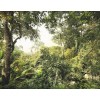 Φωτοταπετσαρία τοίχου Τρόπικαλ Komar XXL4-024 Non woven Vlies "Dschungel" 368x248cm