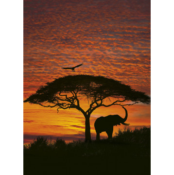 Φωτοταπετσαρία τοίχου National Geographic Komar 4-501 "African Sunset" 194x270 cm 