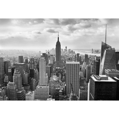 Φωτοταπετσαρία τοίχου  Komar 8-323 "NYC black and white" 368x254cm