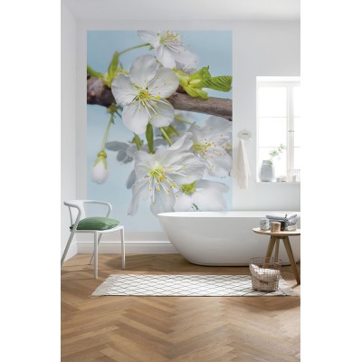 Φωτοταπετσαρία τοίχου Φλοράλ Komar XXL2-033 Non woven Vlies  "Blossom" 184x248cm