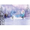 Φωτοταπετσαρία τοίχου παιδική Komar 8-499 Frozen Forest DISNEY  368x254cm