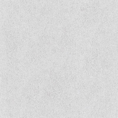 Ταπετσαρία τοίχου Rasch  Ασημί-Λευκό 10,05x0,53