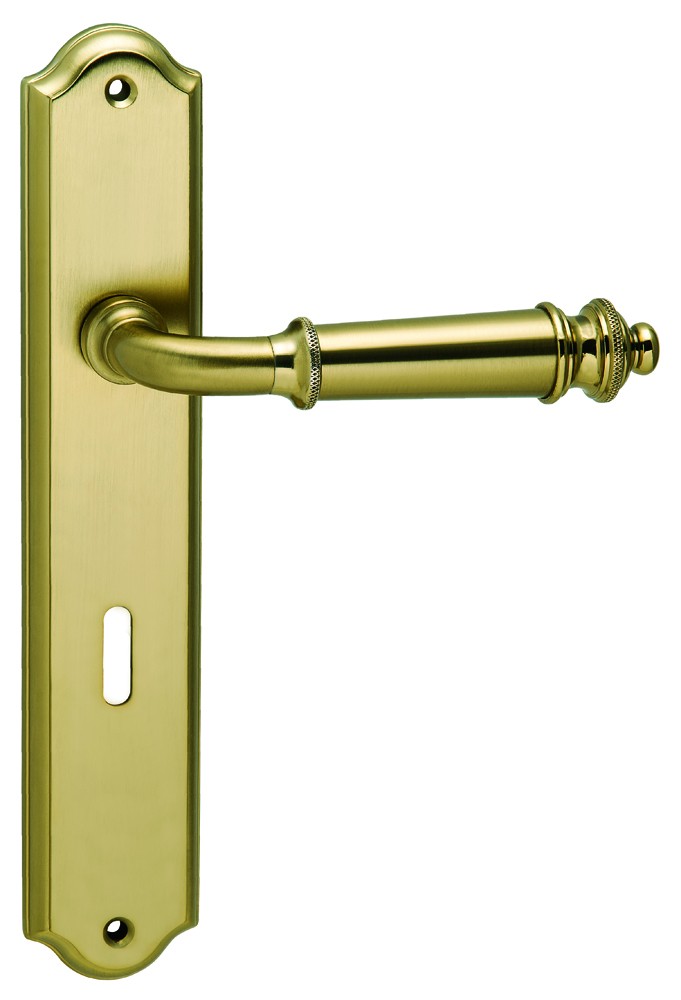 Πόμολο πόρτας με πλάκα Viometale 06.490 χρυσό/χρυσό ματ