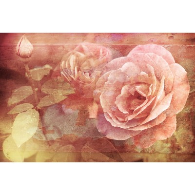 Ρόλερ - Ρολοκουρτίνα Σχέδιο Φύση - Λουλούδια - Floral 59 Ροζ τριαντάφυλλα