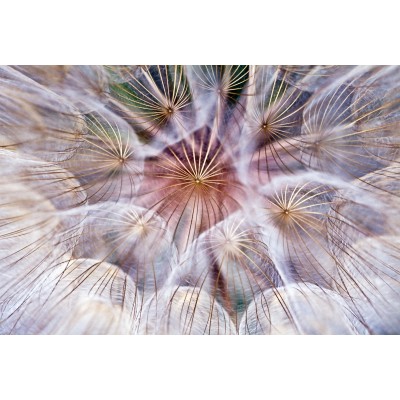 Ταπετσαρία Φύση - Λουλούδια - Floral 115