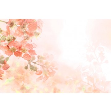Ρόλερ - Ρολοκουρτίνα Σχέδιο Φύση - Λουλούδια - Floral 37