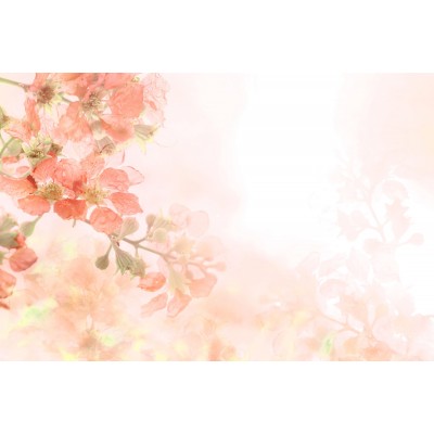 Ρόλερ - Ρολοκουρτίνα Σχέδιο Φύση - Λουλούδια - Floral 37