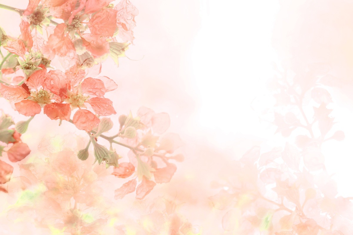 Ταπετσαρία Φύση - Λουλούδια - Floral 37