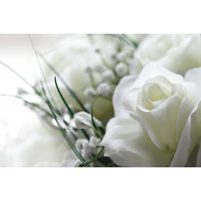 Ταπετσαρία Φύση - Λουλούδια - Floral 44