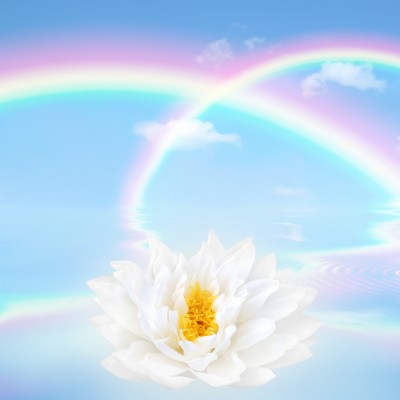 Ρόλερ - Ρολοκουρτίνα Σχέδιο Φύση - Λουλούδια - Floral 48 Ουράνιο τόξο