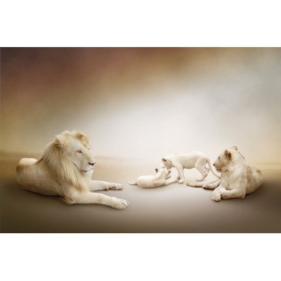 Ρόλερ - Ρολοκουρτίνα Σχέδιο Ζώα 64 Οικογένεια λιονταριών