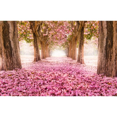 Ταπετσαρία Φύση - Λουλούδια - Floral 14 Ρομαντική φύση