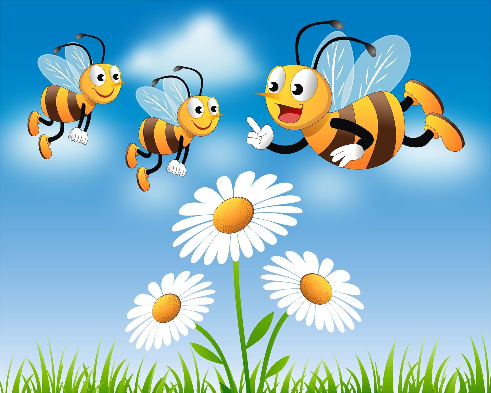 Ρόλερ Ολικής Συσκότισης/Blackout XN0028 Μέλισσες σε Λουλούδια