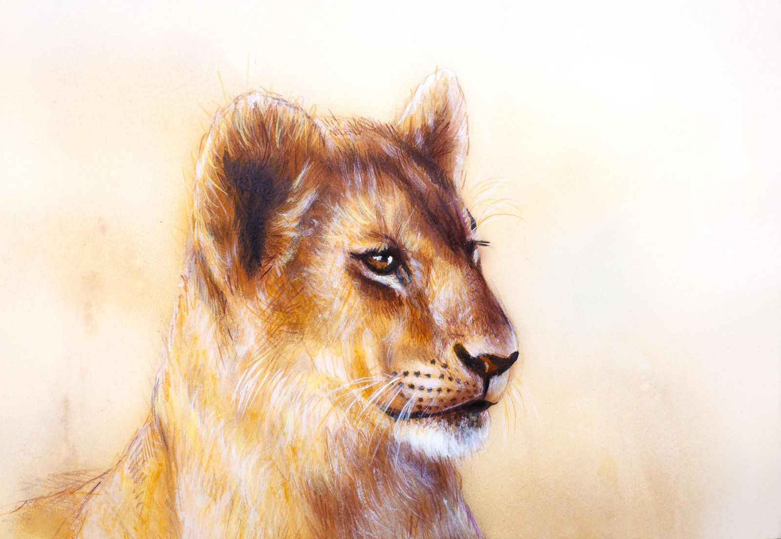 Ρόλερ Μερικής Συσκότισης AN0022 Ζώα-Λιοντάρι