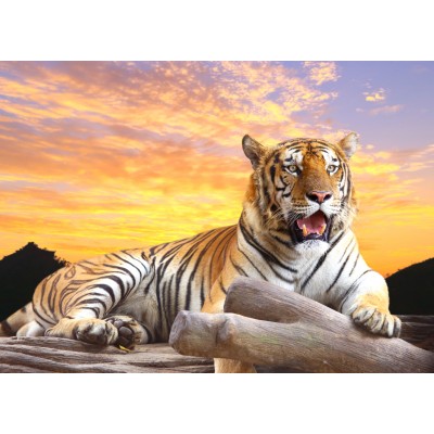 Ρόλερ Ολικής Συσκότισης/Blackout AN0003 Ζώα-Τίγρη