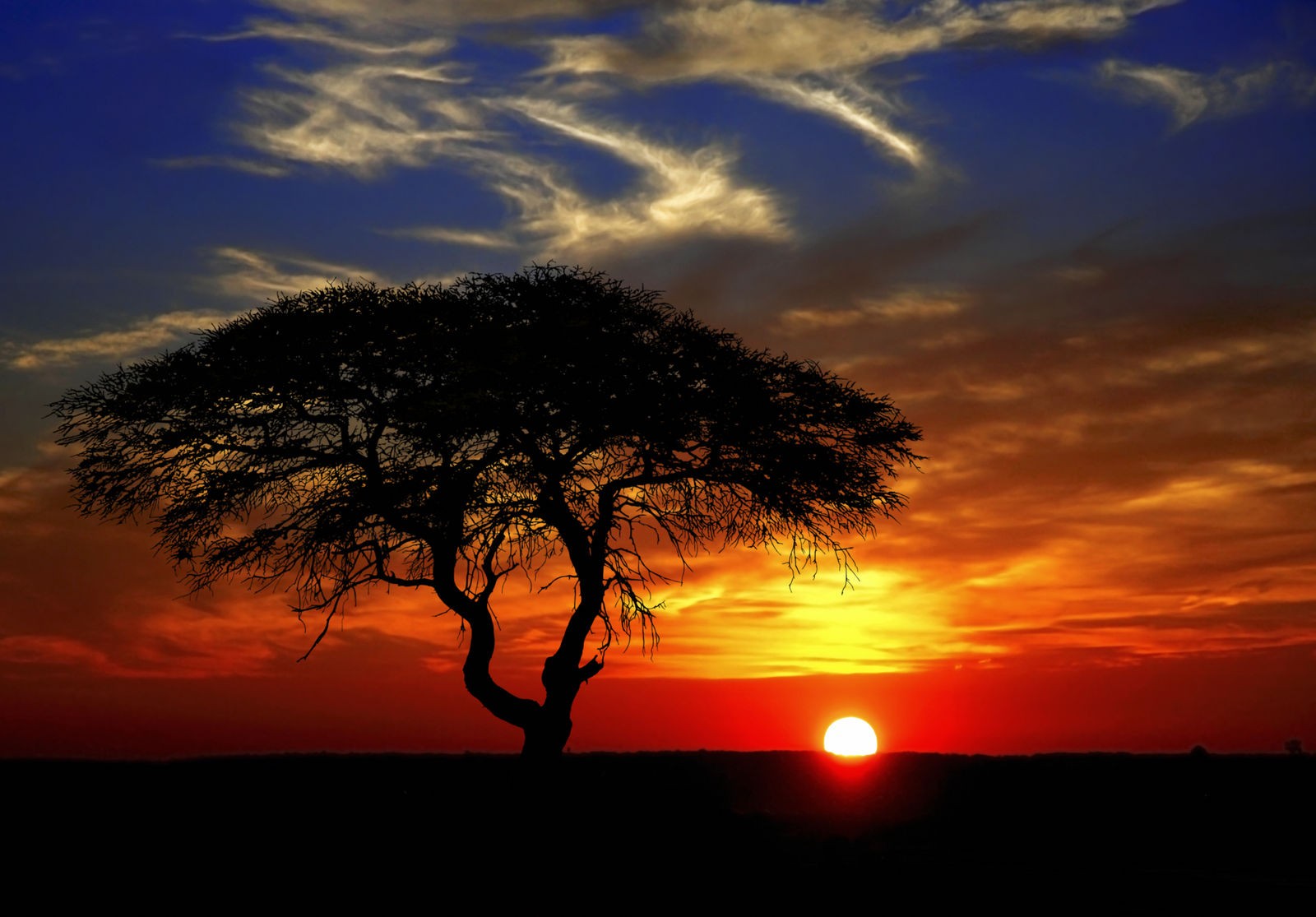 Ρόλερ Μερικής Συσκότισης NA0033 Φύση-Ηλιοβασίλεμα στην Αφρική
