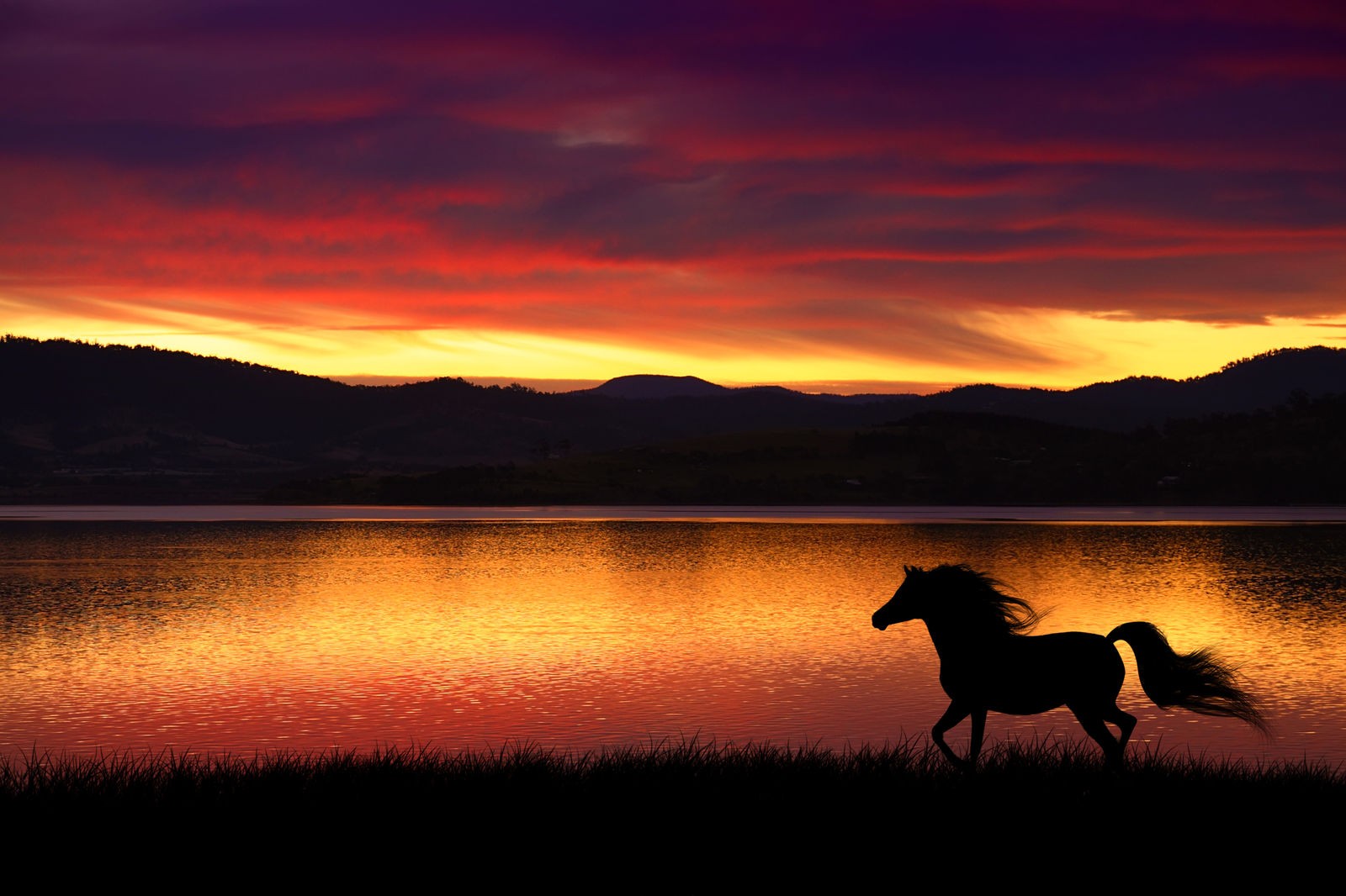 Ρόλερ Μερικής Συσκότισης NA0041 Φύση-Άλογο στο ηλιοβασίλεμα